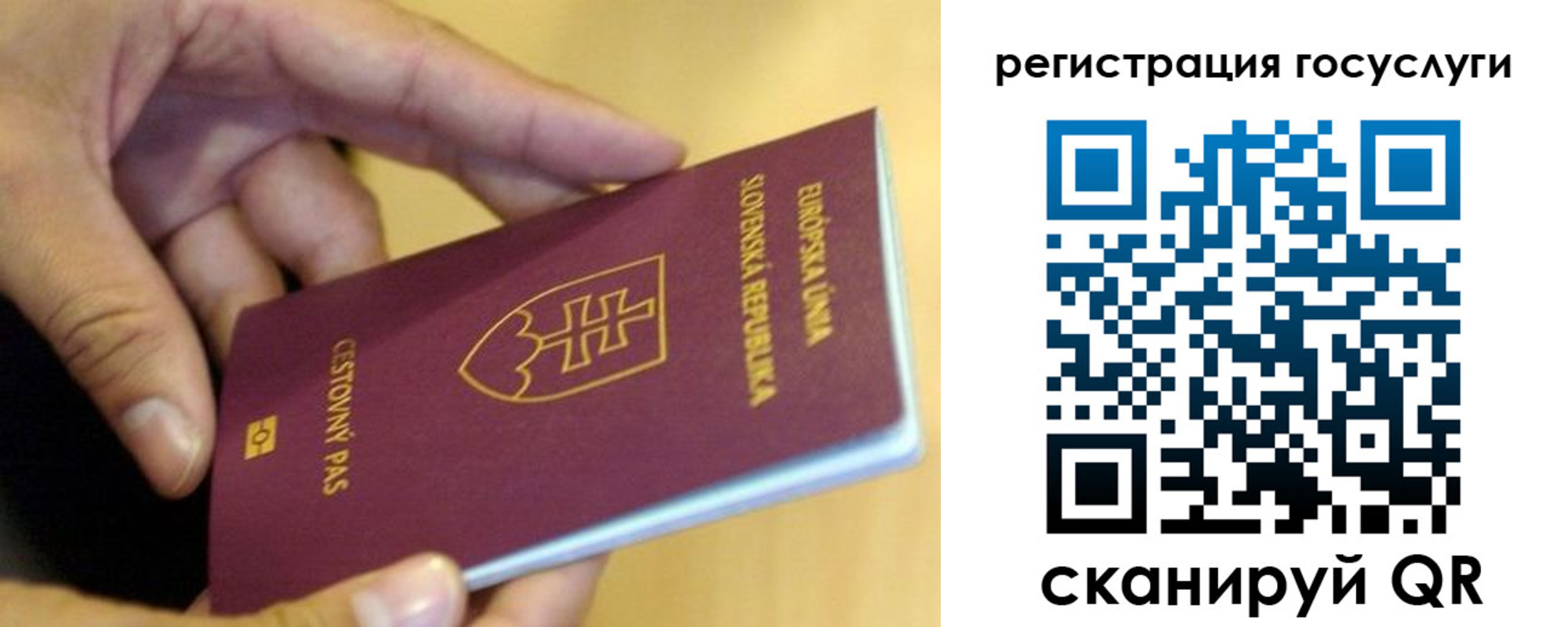 прописка в квартире в Калининградской области
