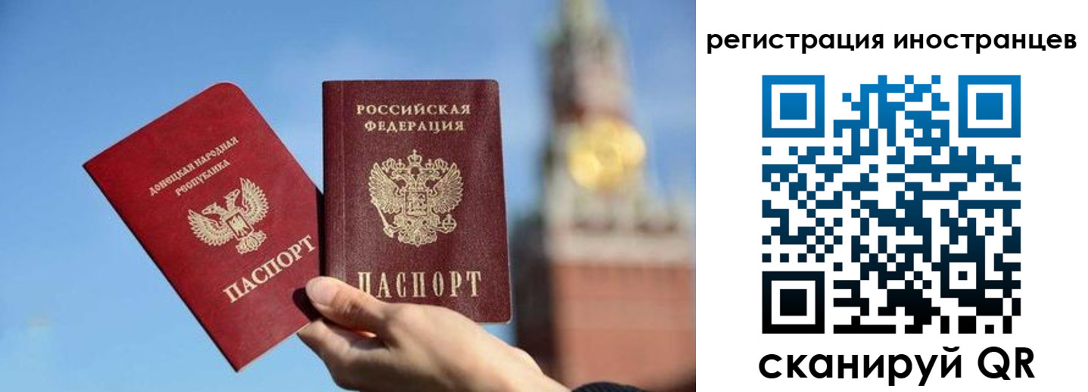 миграционный учет в Калининградской области